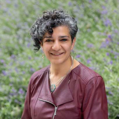 Headshot of Aftab Erfan